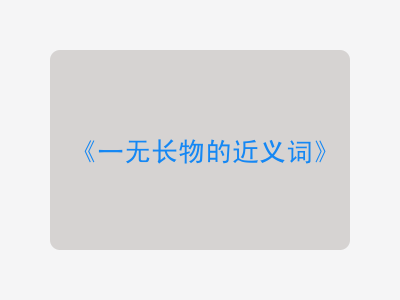 一无长物的近义词
